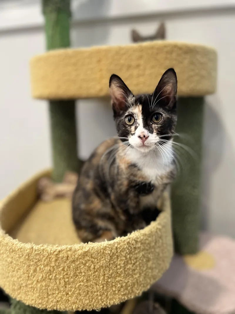 Emily Cooper thumbnail 2