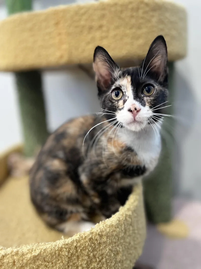 Emily Cooper thumbnail 3