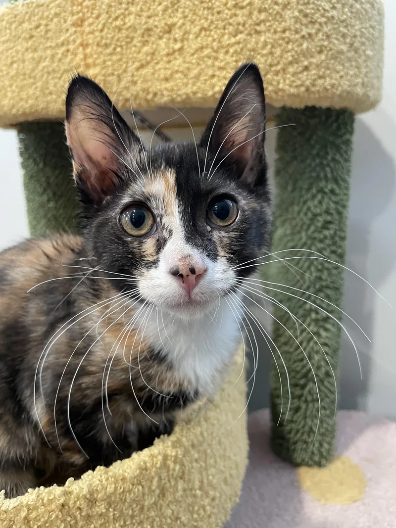 Emily Cooper thumbnail 4