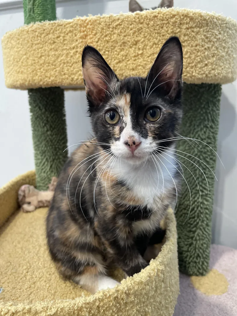 Emily Cooper thumbnail 6