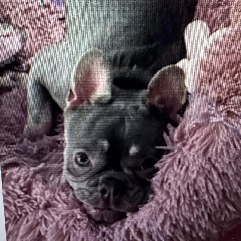 Chloe thumbnail 2