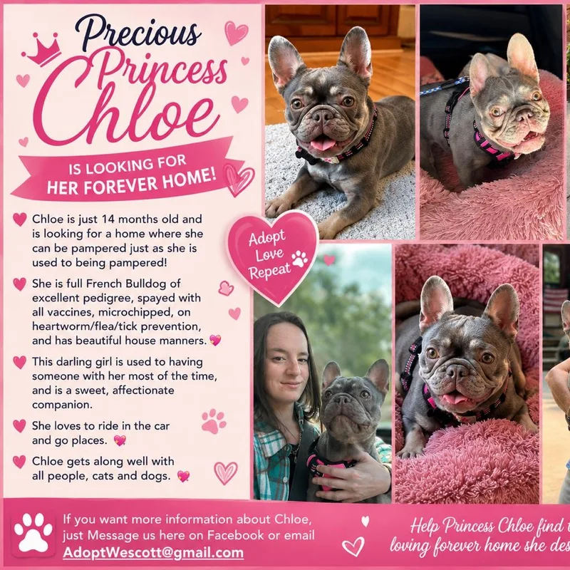 Chloe thumbnail 4