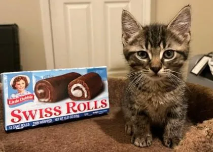 Swiss Rolls thumbnail 2