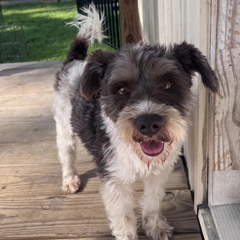 Brewster James thumbnail 6