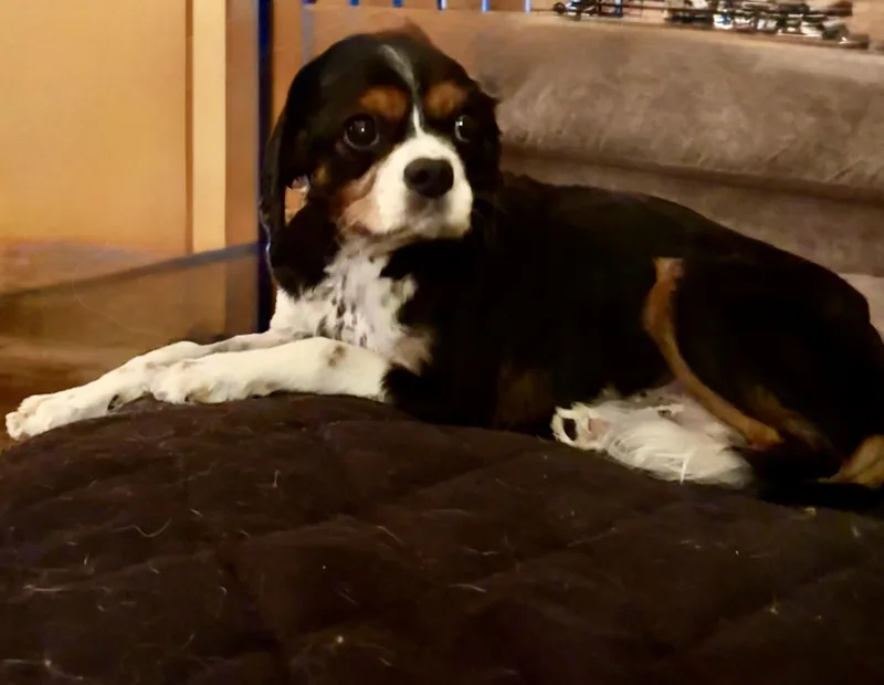 Otis thumbnail 2