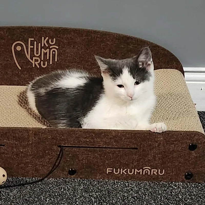 Deathbringer thumbnail 2