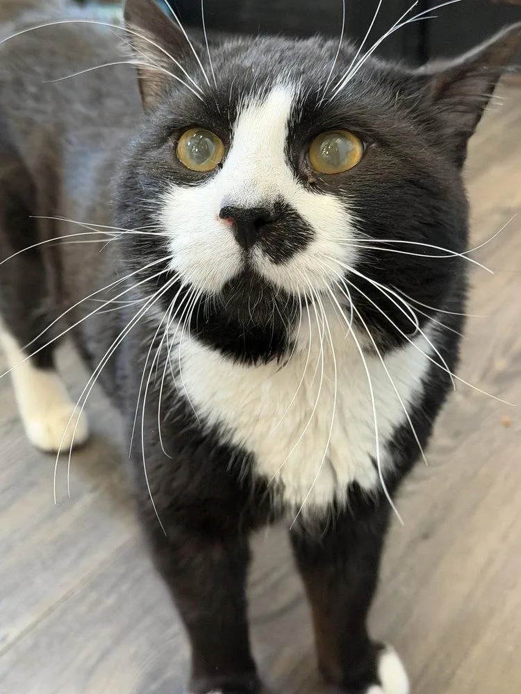 Tux thumbnail 3