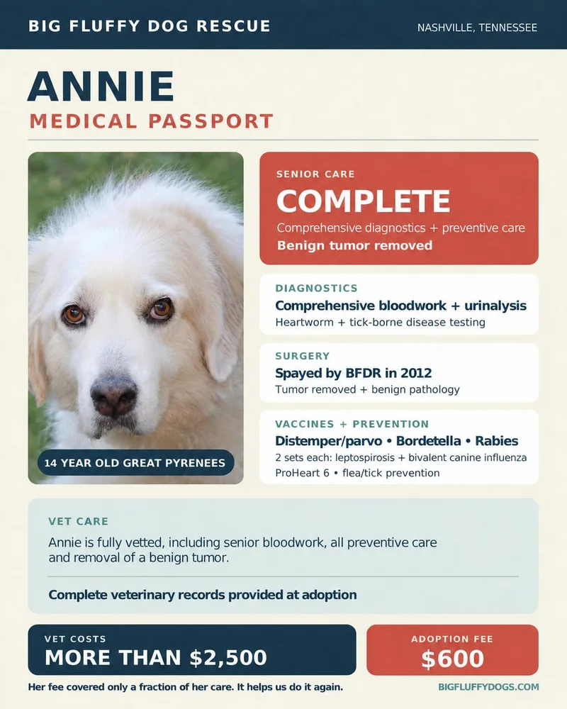 Annie thumbnail 2