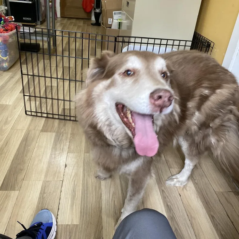 Handsome Harry thumbnail 2