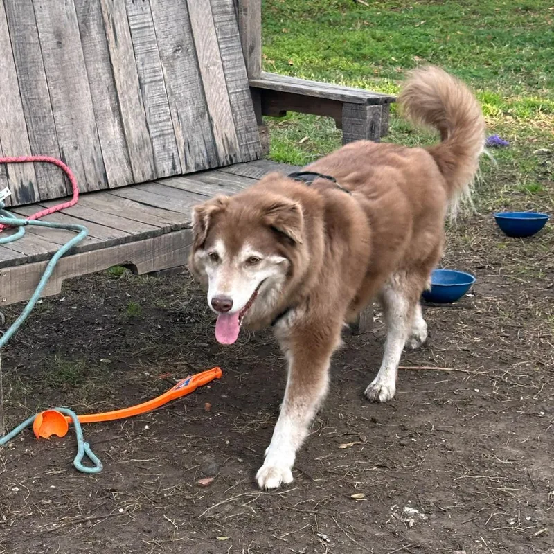 Handsome Harry thumbnail 3