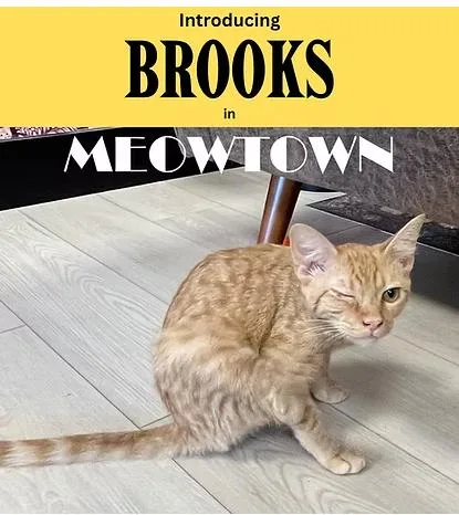 Brooks thumbnail 3