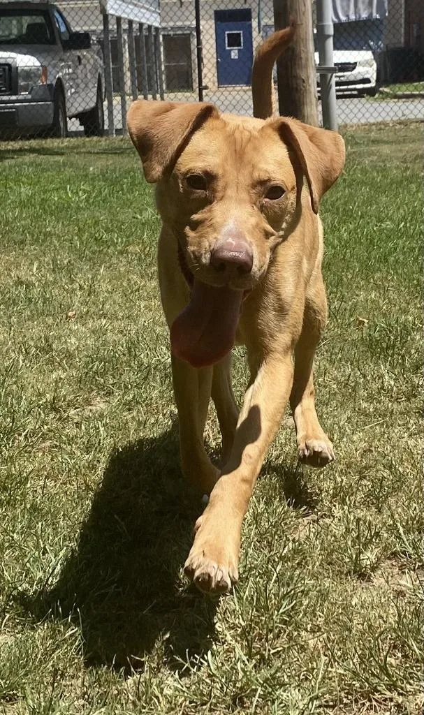 Little Bit thumbnail 2