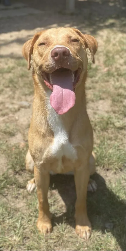 Little Bit thumbnail 3