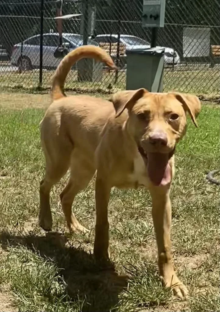 Little Bit thumbnail 4