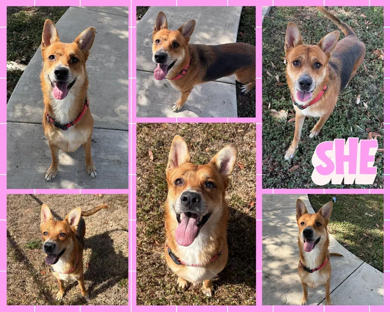 She