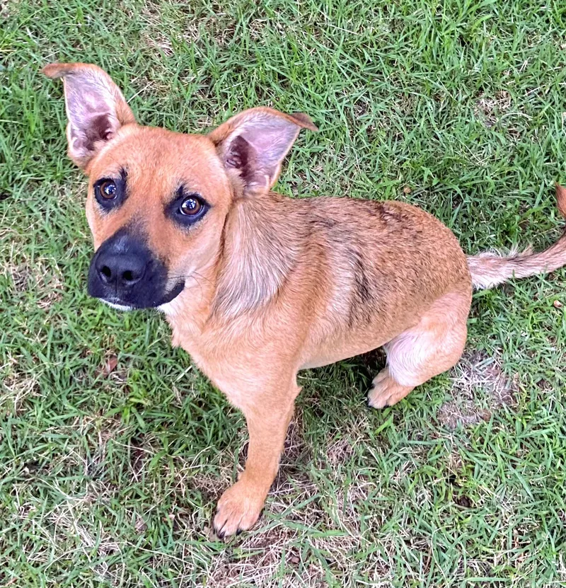 Ellie