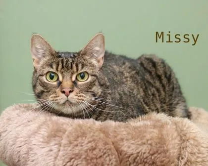 Missy