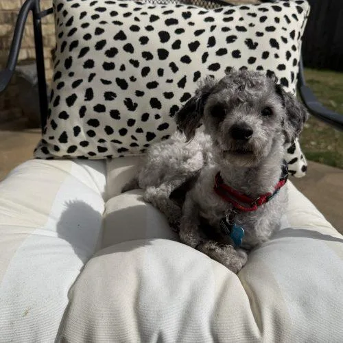 Jedidiah thumbnail 2