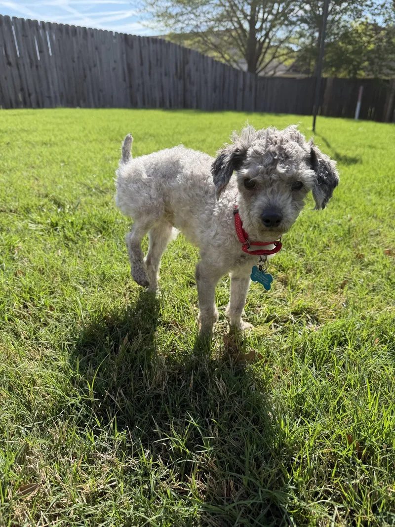 Jedidiah thumbnail 3