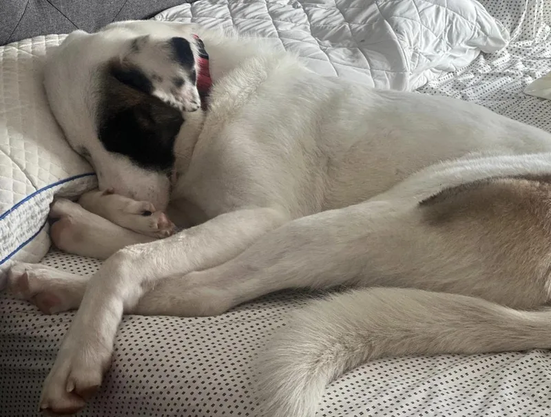 Daisy Mae thumbnail 3