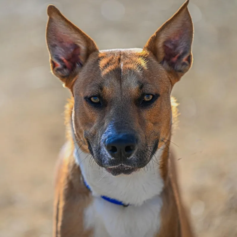 Brighton thumbnail 2