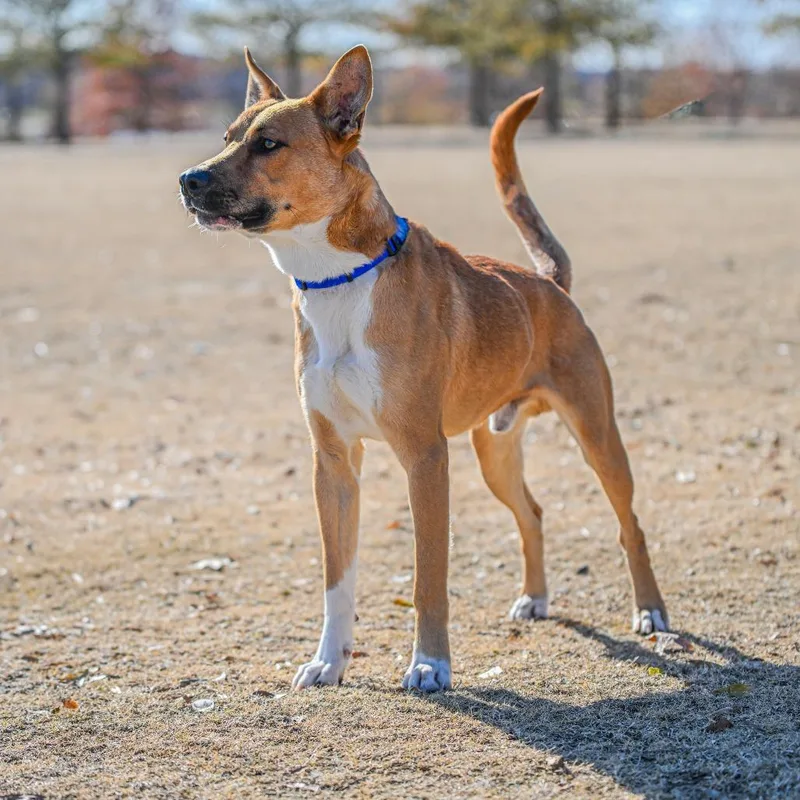 Brighton thumbnail 3