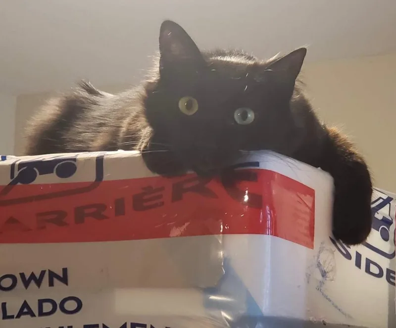 Valentin thumbnail 2