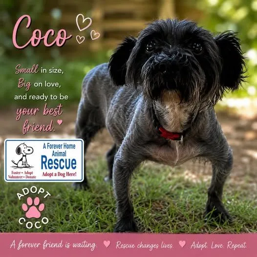 Coco