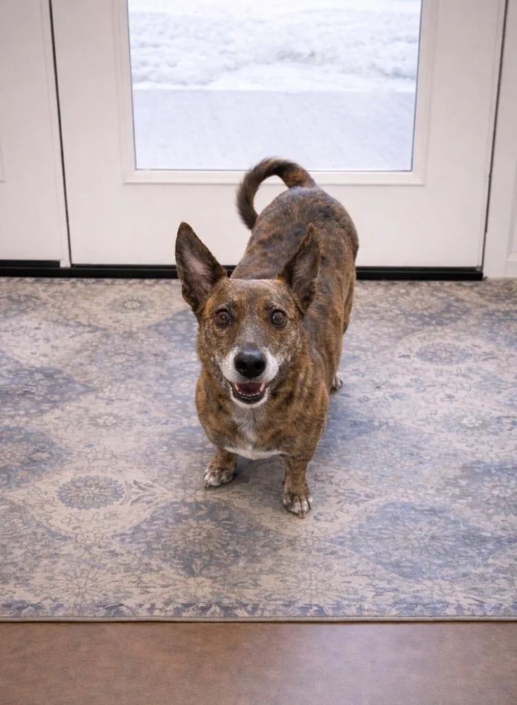 Lucky Piandetosi thumbnail 2