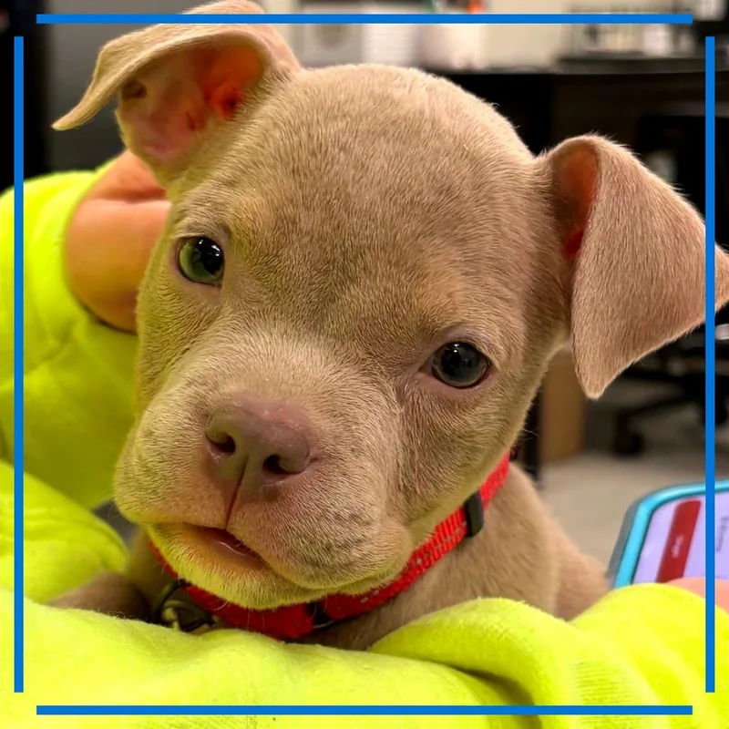 Ethel thumbnail 3