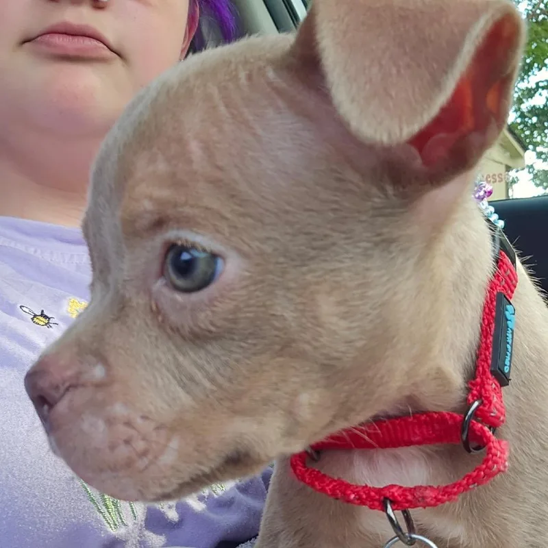 Ethel thumbnail 4