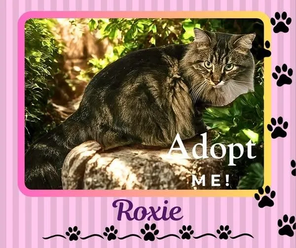 Roxie
