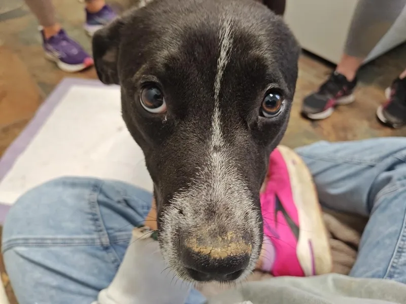 Nikki Momma thumbnail 4