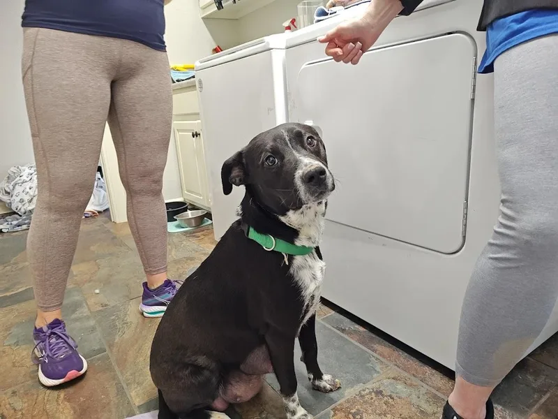 Nikki Momma thumbnail 5