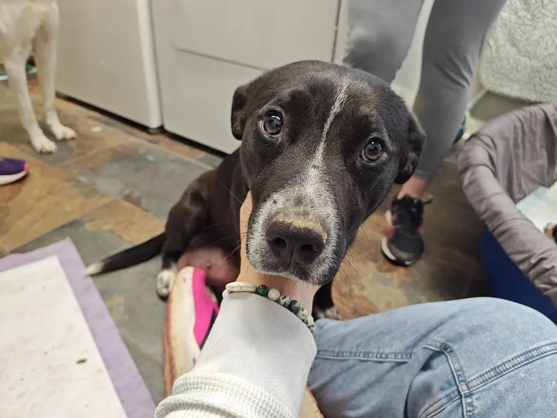 Nikki Momma thumbnail 6