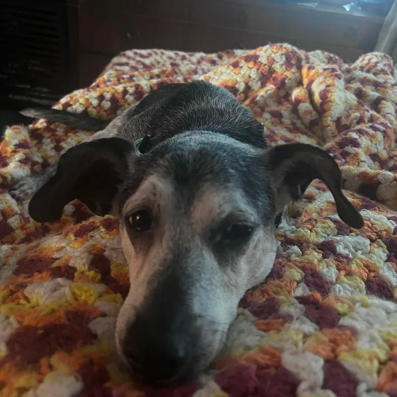 Duke