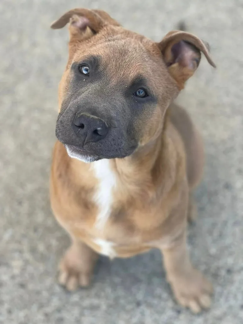 Chuck Aka Meat thumbnail 2