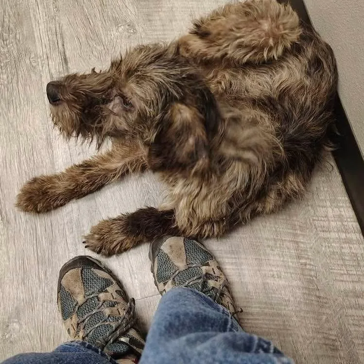 Hobknob Pc thumbnail 2