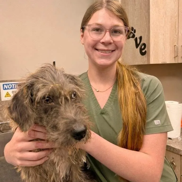 Hobknob Pc thumbnail 5