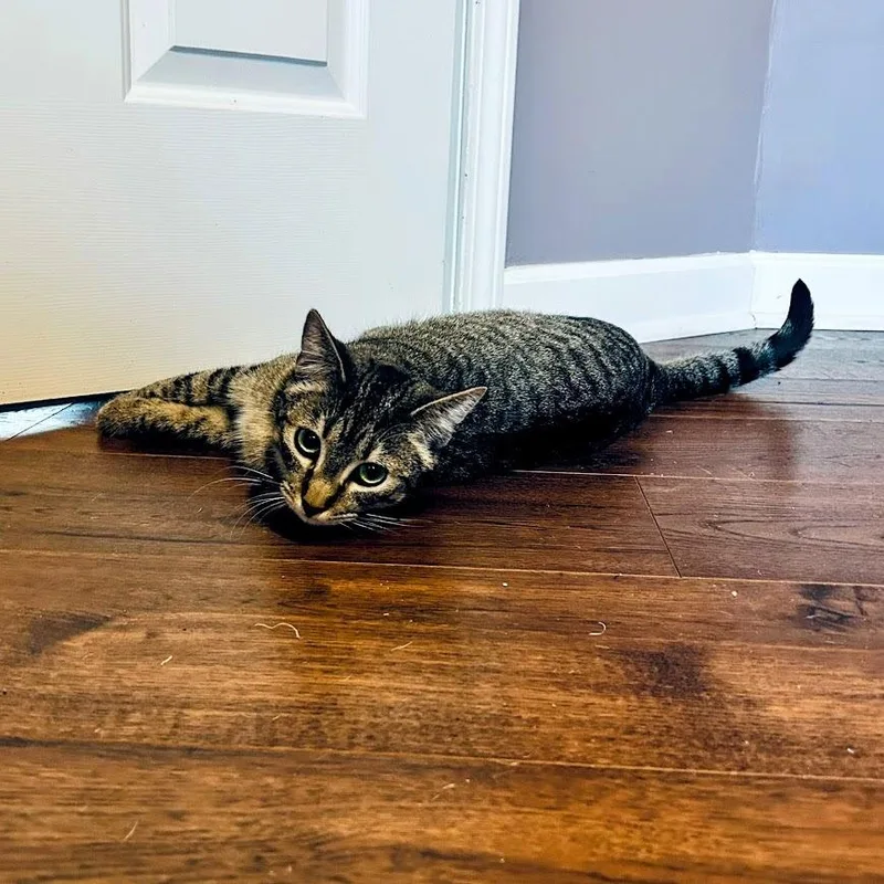 Banana Boat thumbnail 3