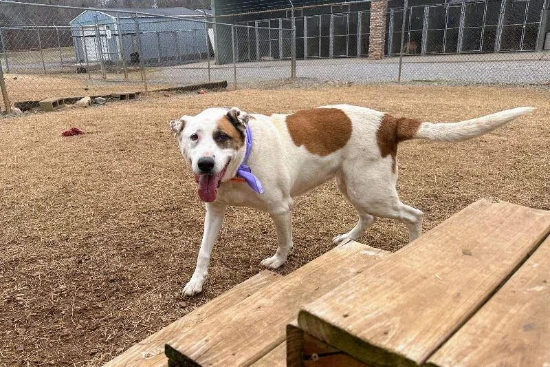 Lindaguardian thumbnail 5