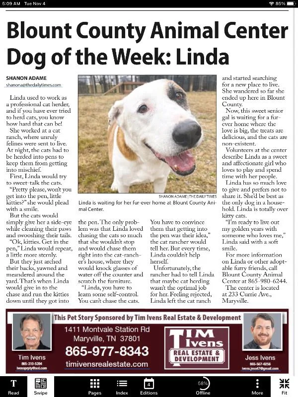 Lindaguardian thumbnail 6