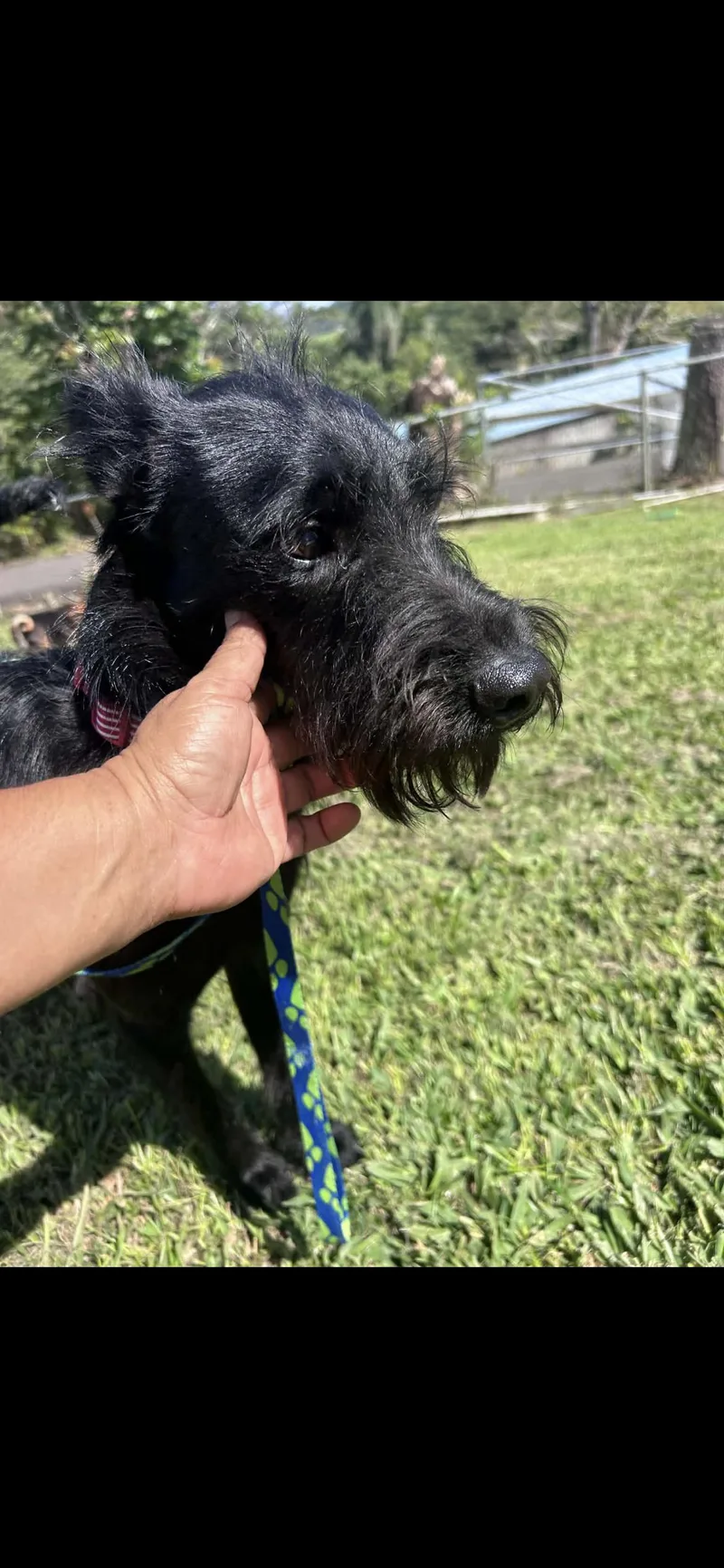 Guinness thumbnail 2