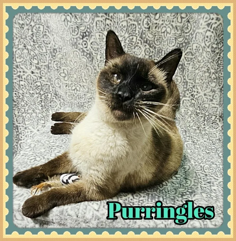 Purringles