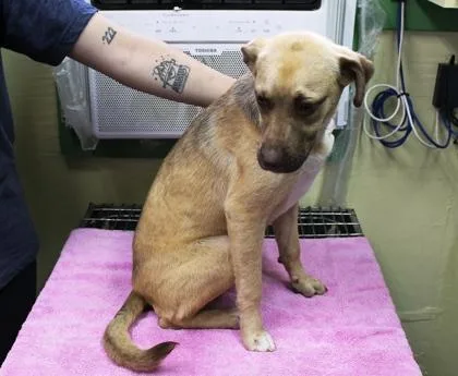 Twilight thumbnail 2