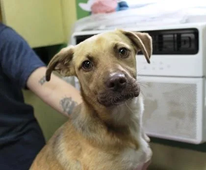 Twilight thumbnail 3