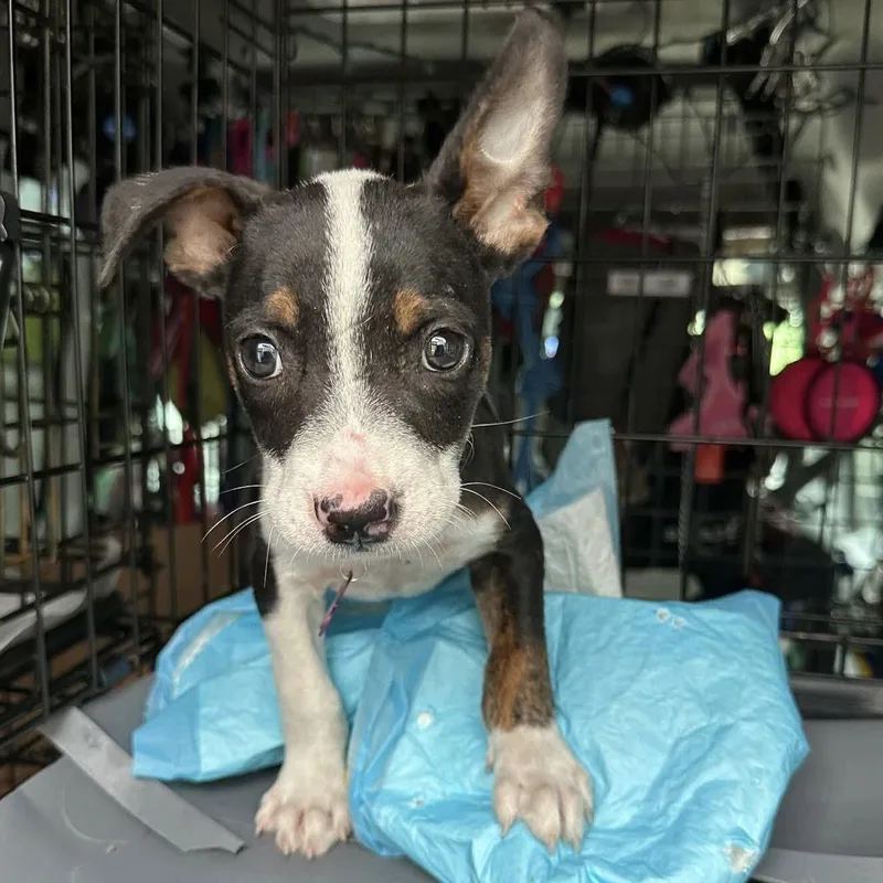 Jax Walter thumbnail 3