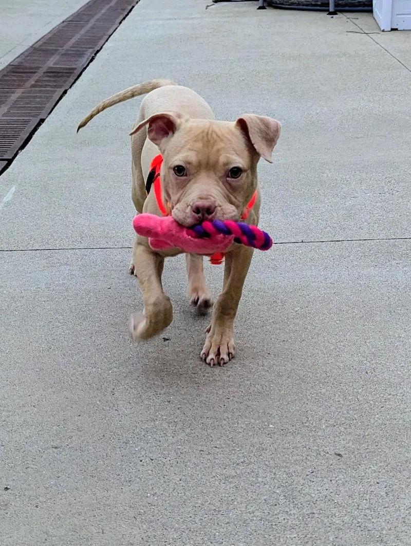 Buster Brown thumbnail 3