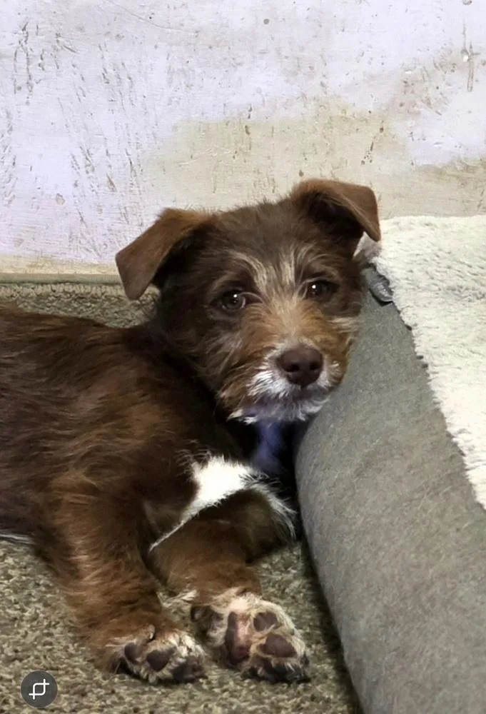 Wednesday Surprise : Stu thumbnail 2