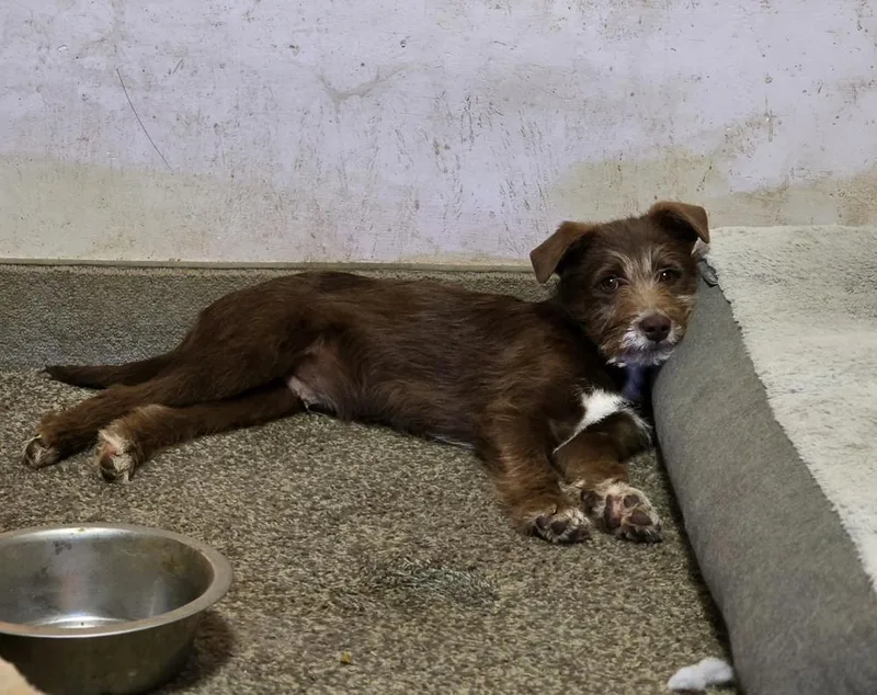 Wednesday Surprise : Stu thumbnail 3